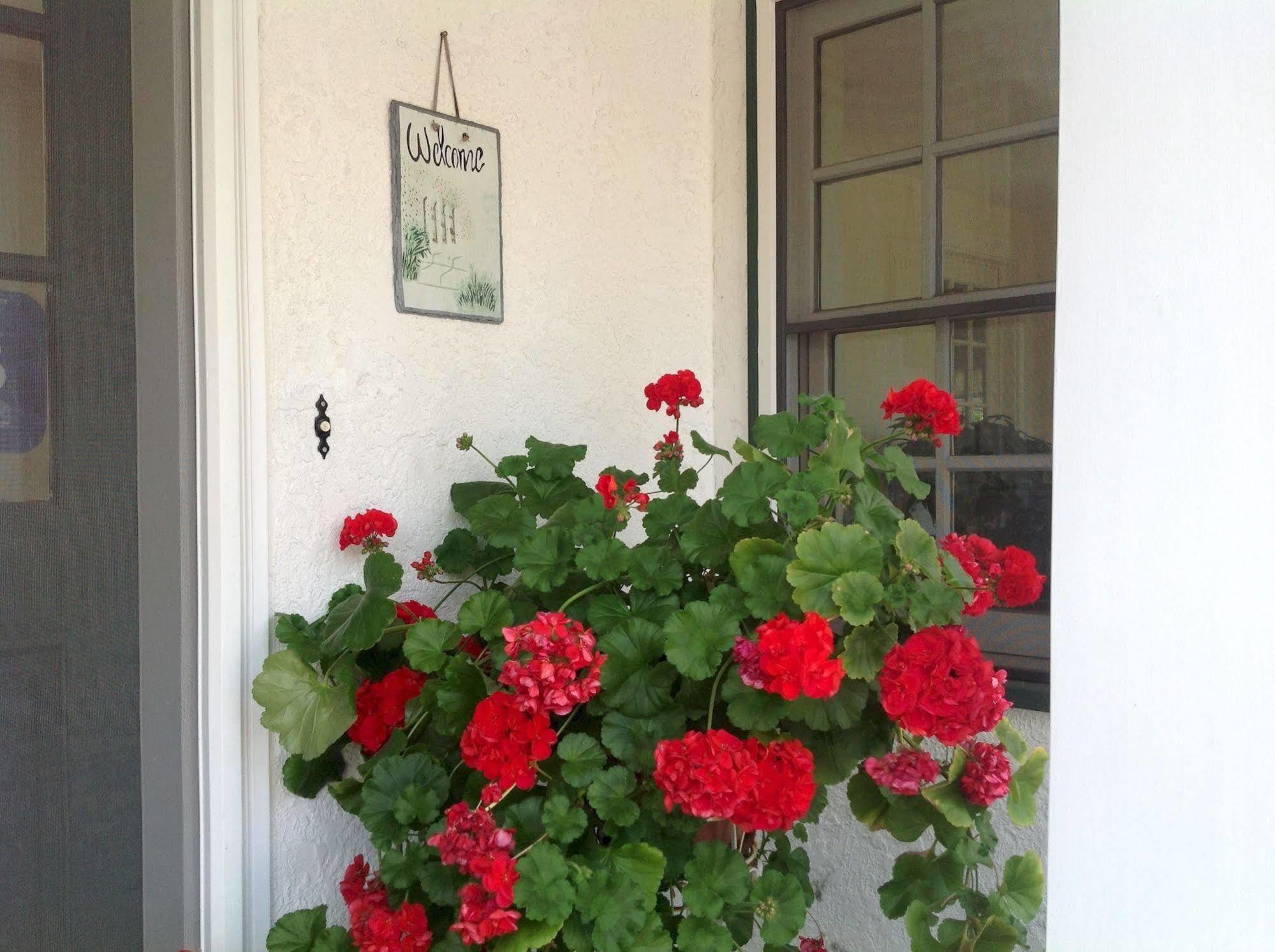 קואליקום ביץ' La Rosetta B&B מראה חיצוני תמונה